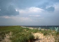 Plage Kelly’s