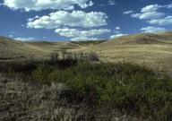 Parc national du Canada des Prairies/Grasslands National Park of Canada