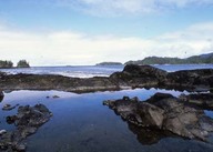 Île Hotsprings