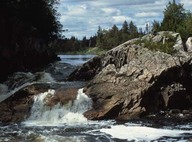 Rivière White