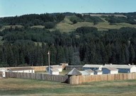 Fort Walsh
