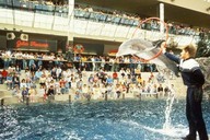 West Edmonton mall