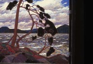 The West Wind