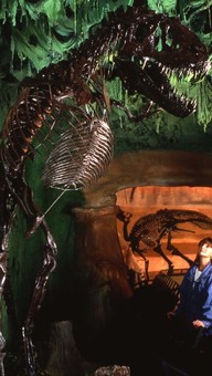 Albertosaurus libratus