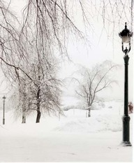 Scène d'hiver sur les Plaines d'Abraham