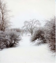 Scène d'hiver sur les Plaines d'Abraham