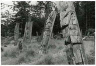 Village Haida (Ninstints) sur l’île Anthony
