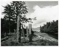 Village Haida sur l’île Anthony