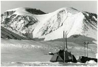 Glacier Turner