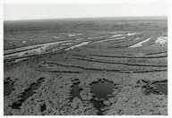 Delta des rivières Athabaska et la Paix