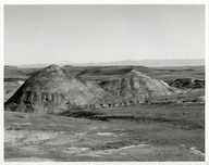 Parc national Prairies