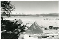 Anse Shooner