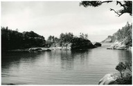 Anse Puffin 