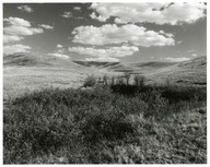 Parc national Prairies 