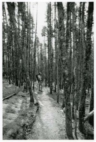Sentier Malady Head