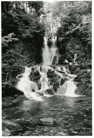Les chutes Dickson