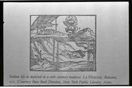Indian life as depicted in a 16th century woodcut. La Historia, Benzoni, 1572. (Courtesy Rare Book Division, New York Public Library, Astor,