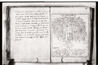 Brief discours des choses plus remarcables que Samuel de Champlain... a recogneues aux Indes occidentales.