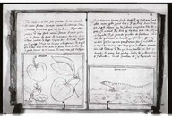 Brief discours des choses plus remarcables que Samuel de Champlain... a recogneues aux Indes occidentales.