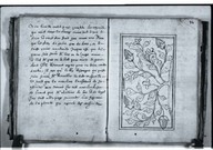 Brief discours des choses plus remarcables que Samuel de Champlain... a recogneues aux Indes occidentales.