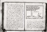 Brief discours des choses plus remarcables que Samuel de Champlain... a recogneues aux Indes occidentales.