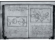 Brief discours des choses plus remarcables que Samuel de Champlain... a recogneues aux Indes occidentales.