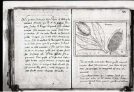 Brief discours des choses plus remarcables que Samuel de Champlain... a recogneues aux Indes occidentales.