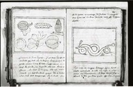 Brief discours des choses plus remarcables que Samuel de Champlain... a recogneues aux Indes occidentales.