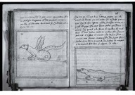 Brief discours des choses plus remarcables que Samuel de Champlain... a recogneues aux Indes occidentales.
