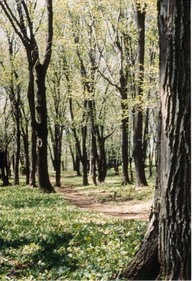 Plaines d'Abraham