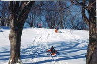 Plaines d'Abraham
