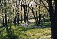 Plaines d'Abraham