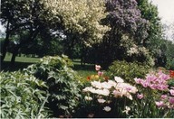 Plaines d'Abraham