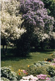 Plaines d'Abraham