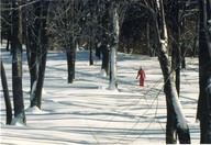 Plaines d'Abraham