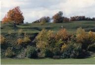 Plaines d'Abraham