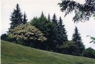 Plaines d'Abraham