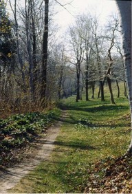Plaines d'Abraham