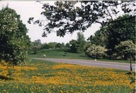 Plaines d'Abraham