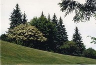 Plaines d'Abraham