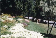 Plaines d'Abraham