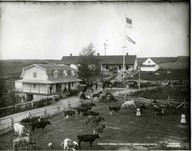Ferme Wilfred Rotté