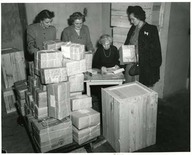 Parcels of Britain