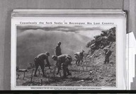 Ceaselessly the Serb seeks to reconquer hits lost country