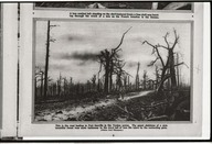 This is the road leading to Fort Souville in the Verdun sector. The gaunt skeletons of a once beautiful forest bear mute testimony to the cruel toll of tree life taken by contending guns.