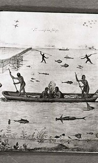 The manner of their fishing