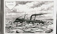 Plan du milieu du Northern light