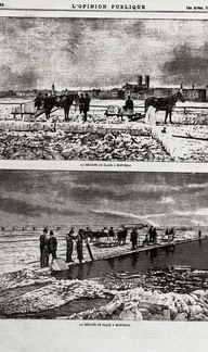 La récolte de glace