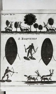Raquettes