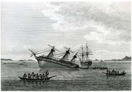 The discovery on the rocks in Queen Charlotte’s sound
